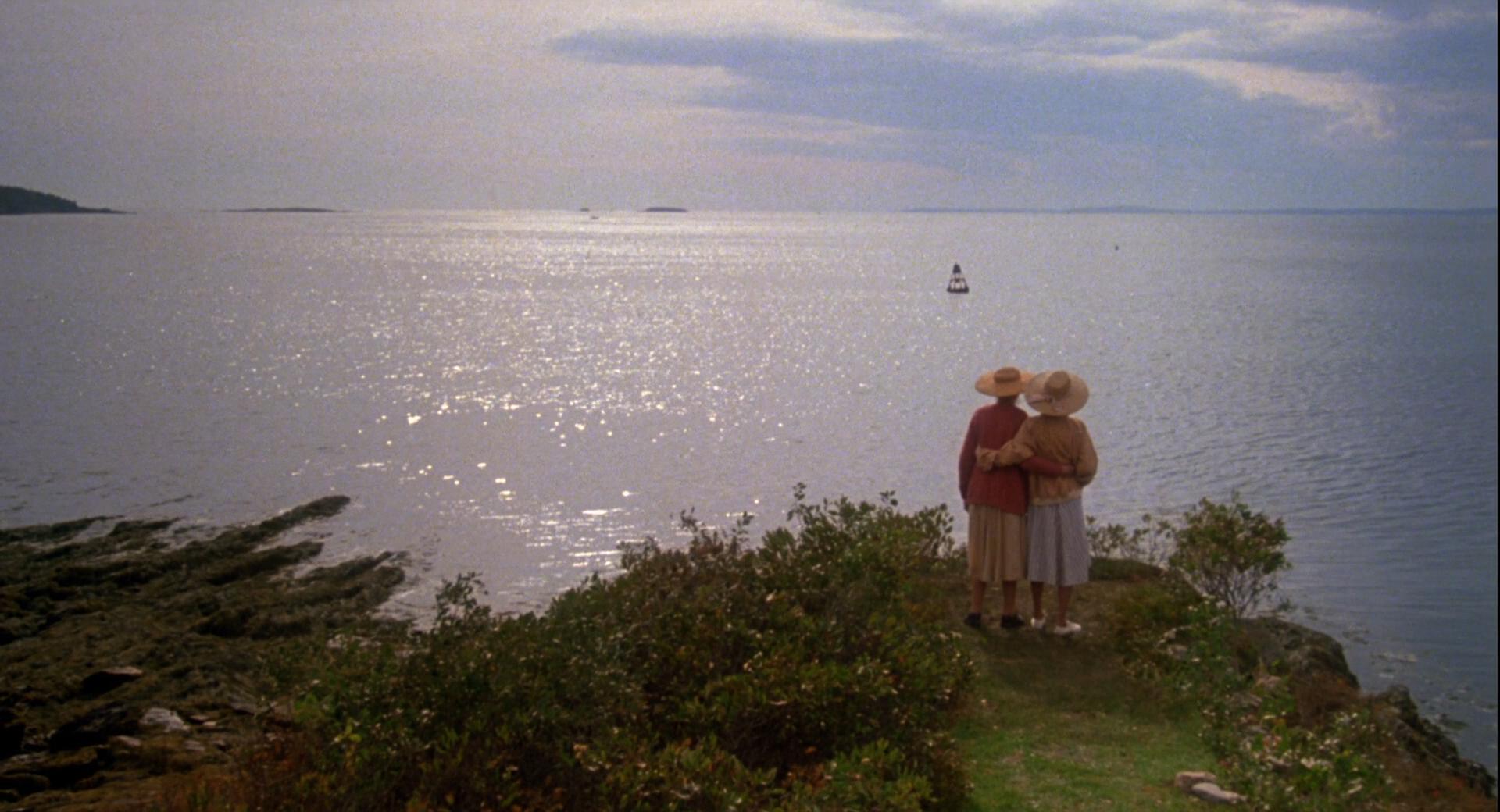 八月的鲸鱼剧照的剧照