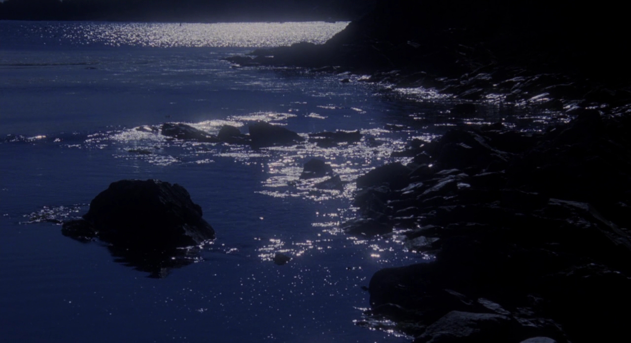 八月的鲸鱼剧照的剧照