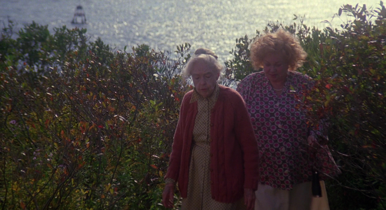 八月的鲸鱼剧照的剧照