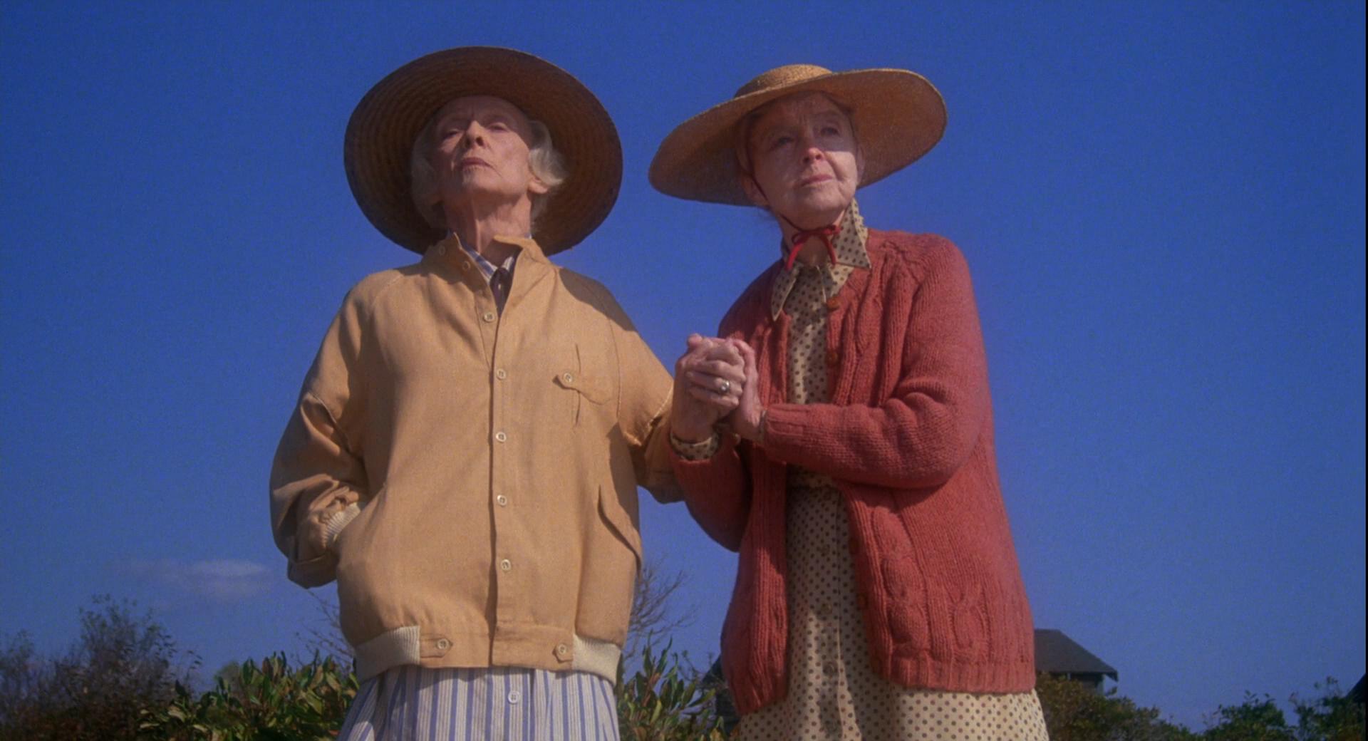 八月的鲸鱼剧照的剧照