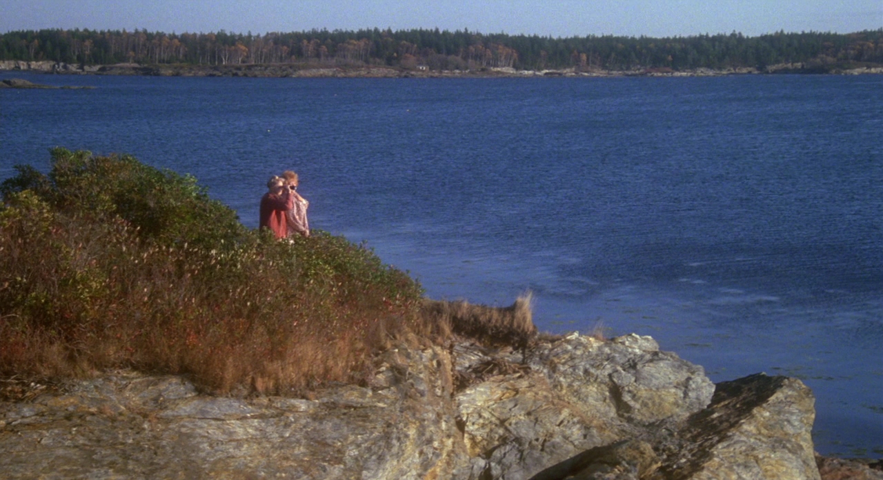 八月的鲸鱼剧照的剧照