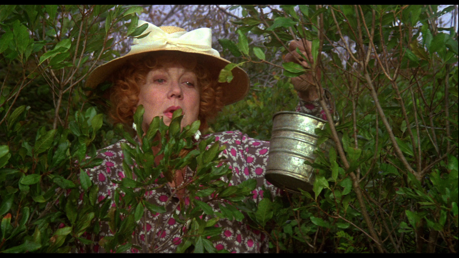 八月的鲸鱼剧照的剧照