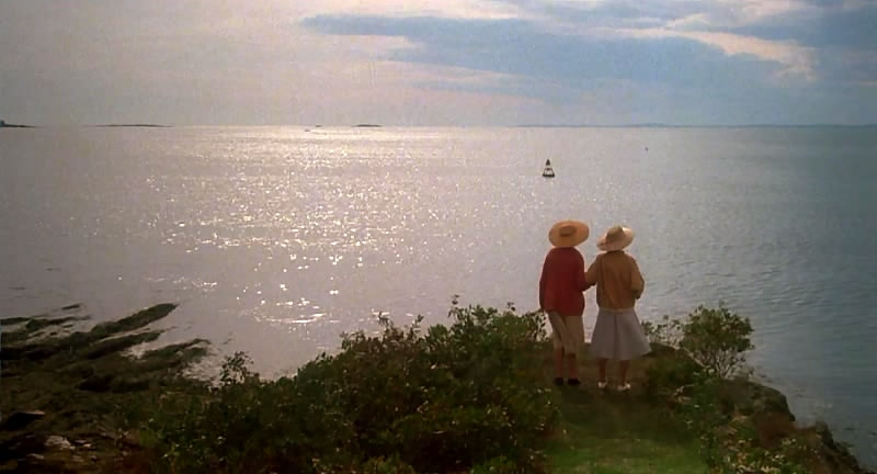 八月的鲸鱼剧照的剧照