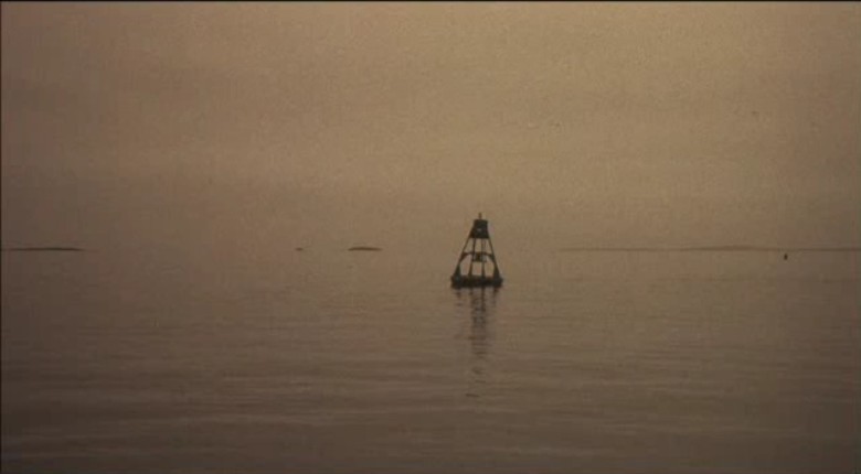 八月的鲸鱼剧照的剧照