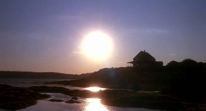 八月的鲸鱼剧照的剧照