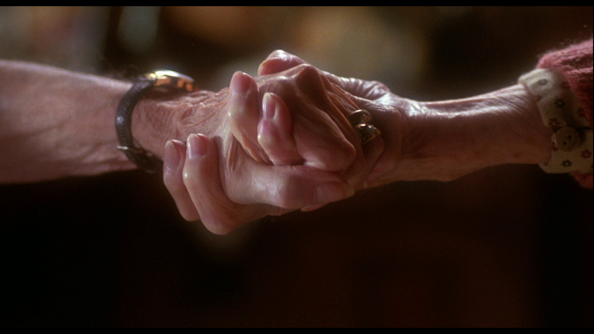 八月的鲸鱼剧照的剧照