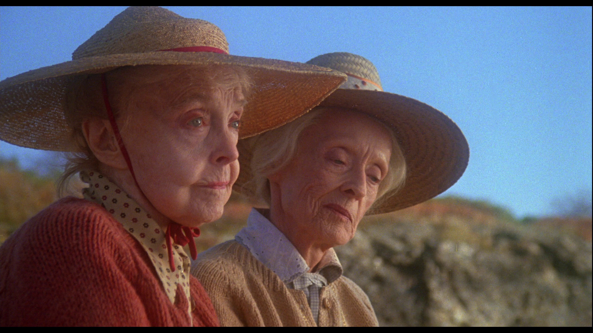 八月的鲸鱼剧照的剧照