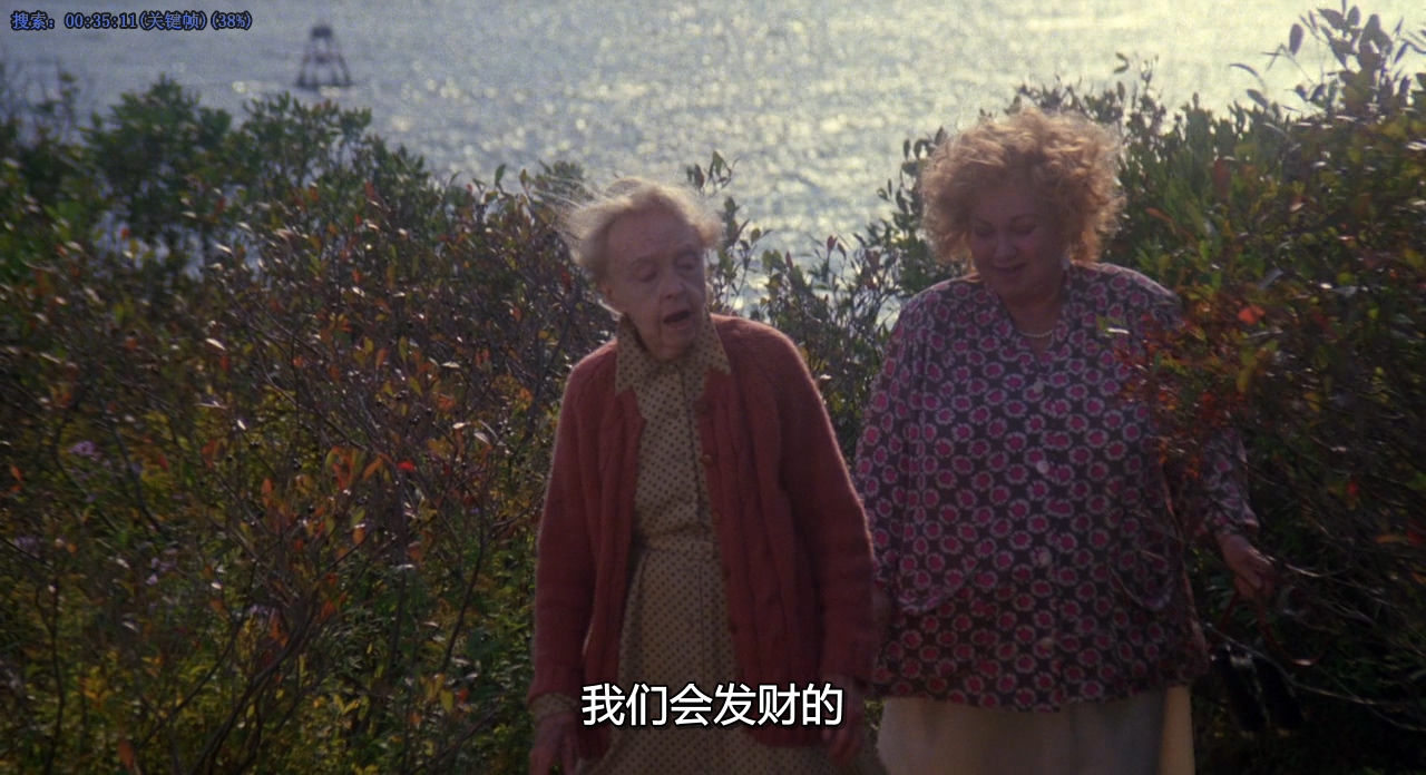 八月的鲸鱼剧照的剧照