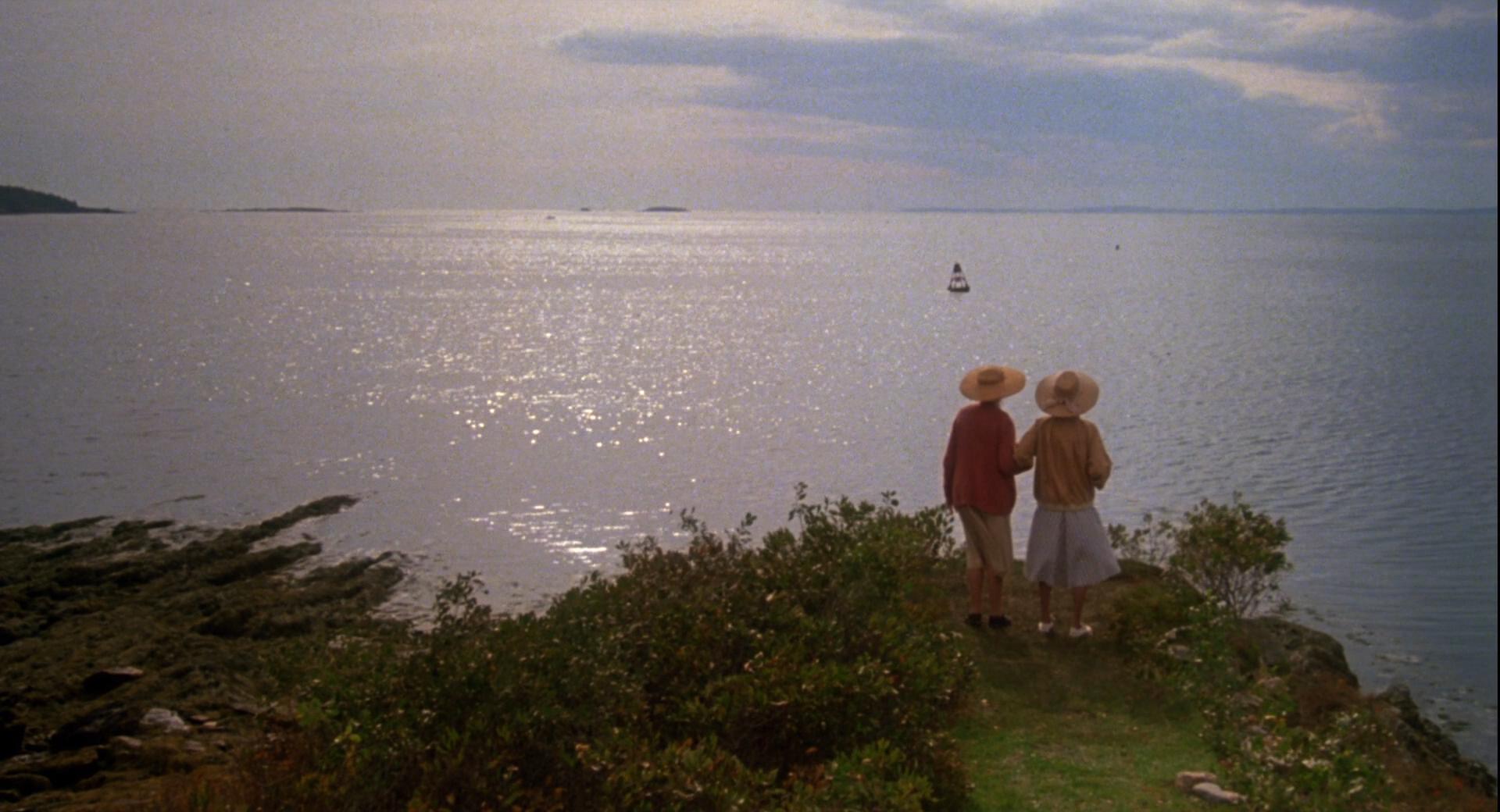 八月的鲸鱼剧照的剧照