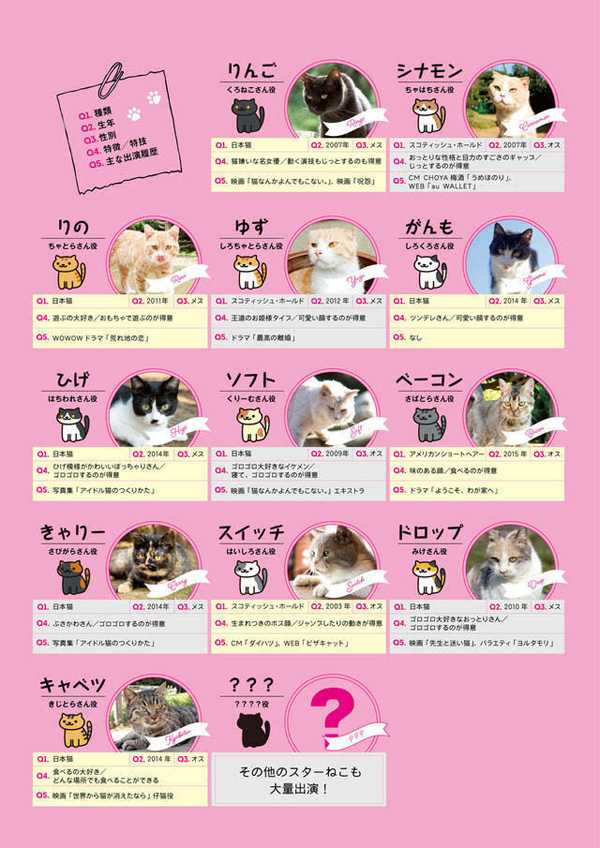 猫咪后院之家剧照的剧照