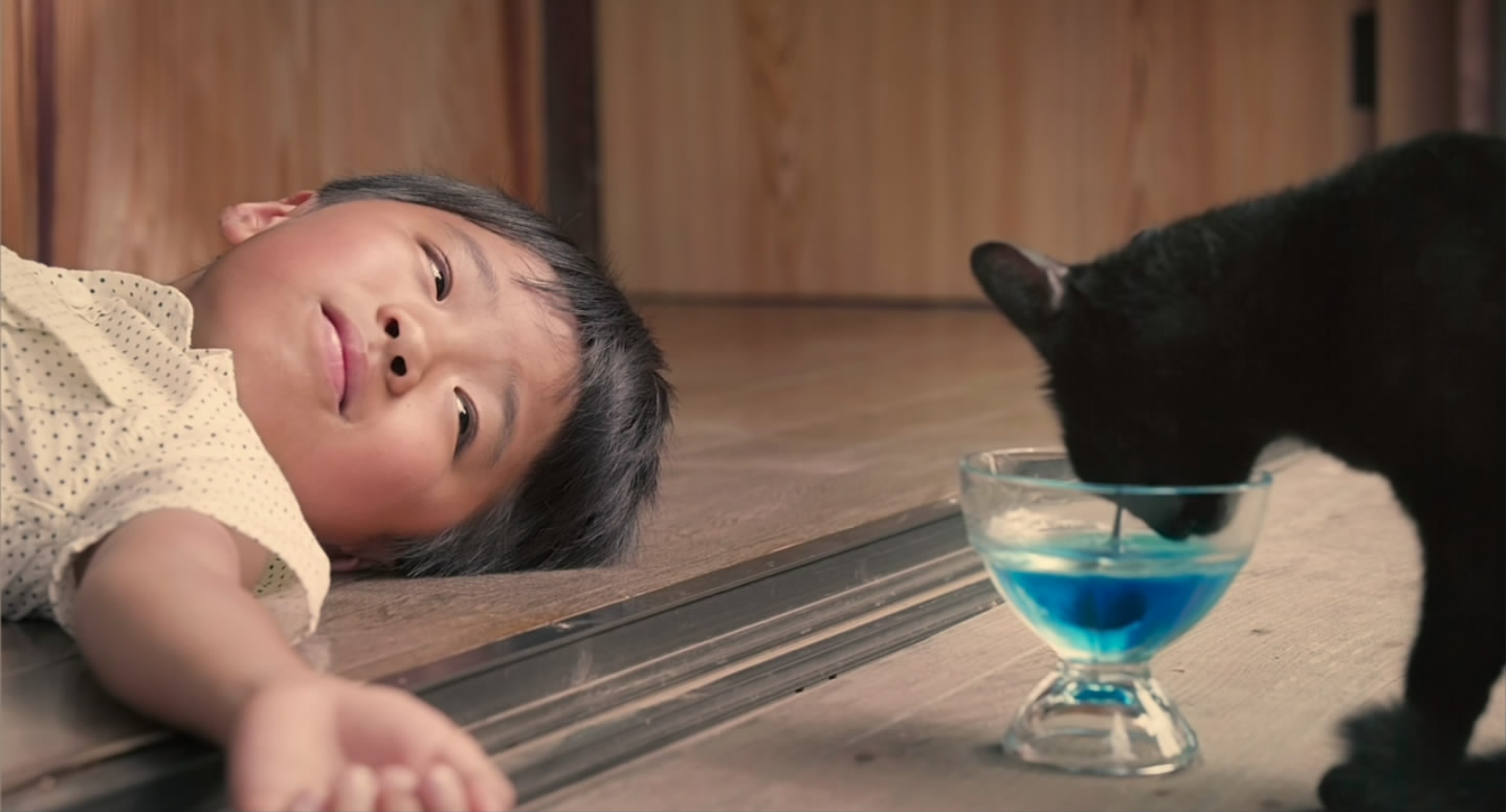 猫咪后院之家剧照的剧照