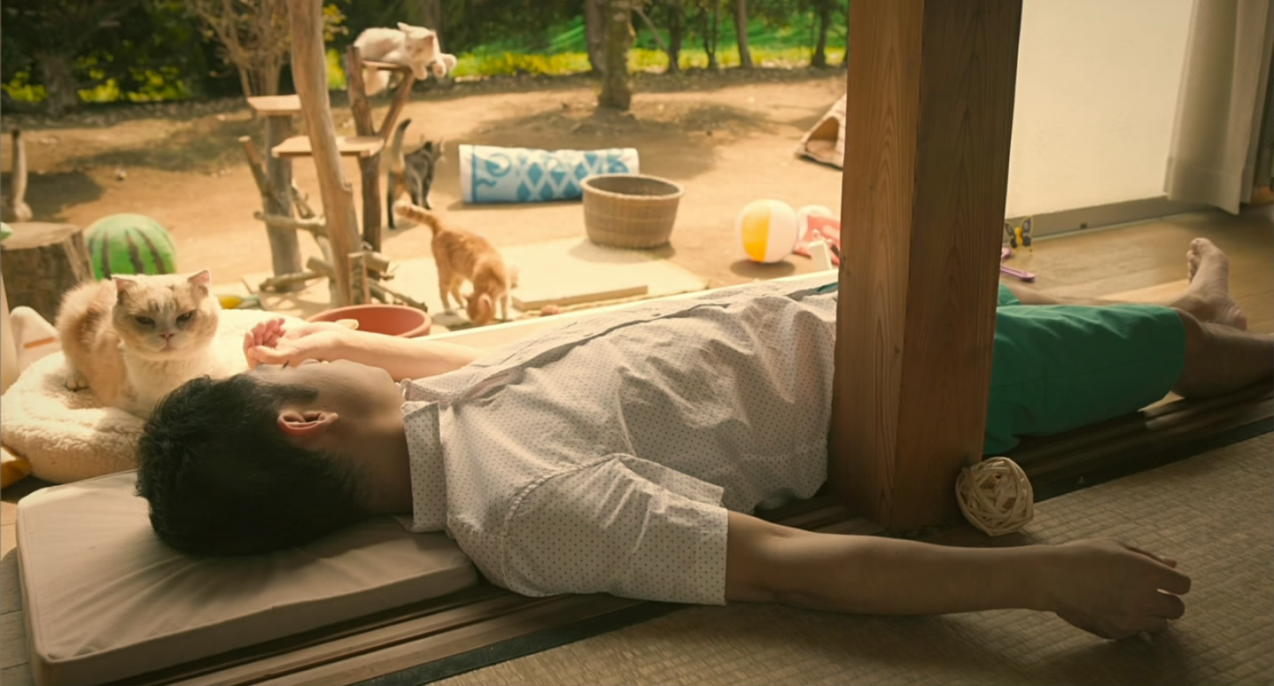 猫咪后院之家剧照的剧照