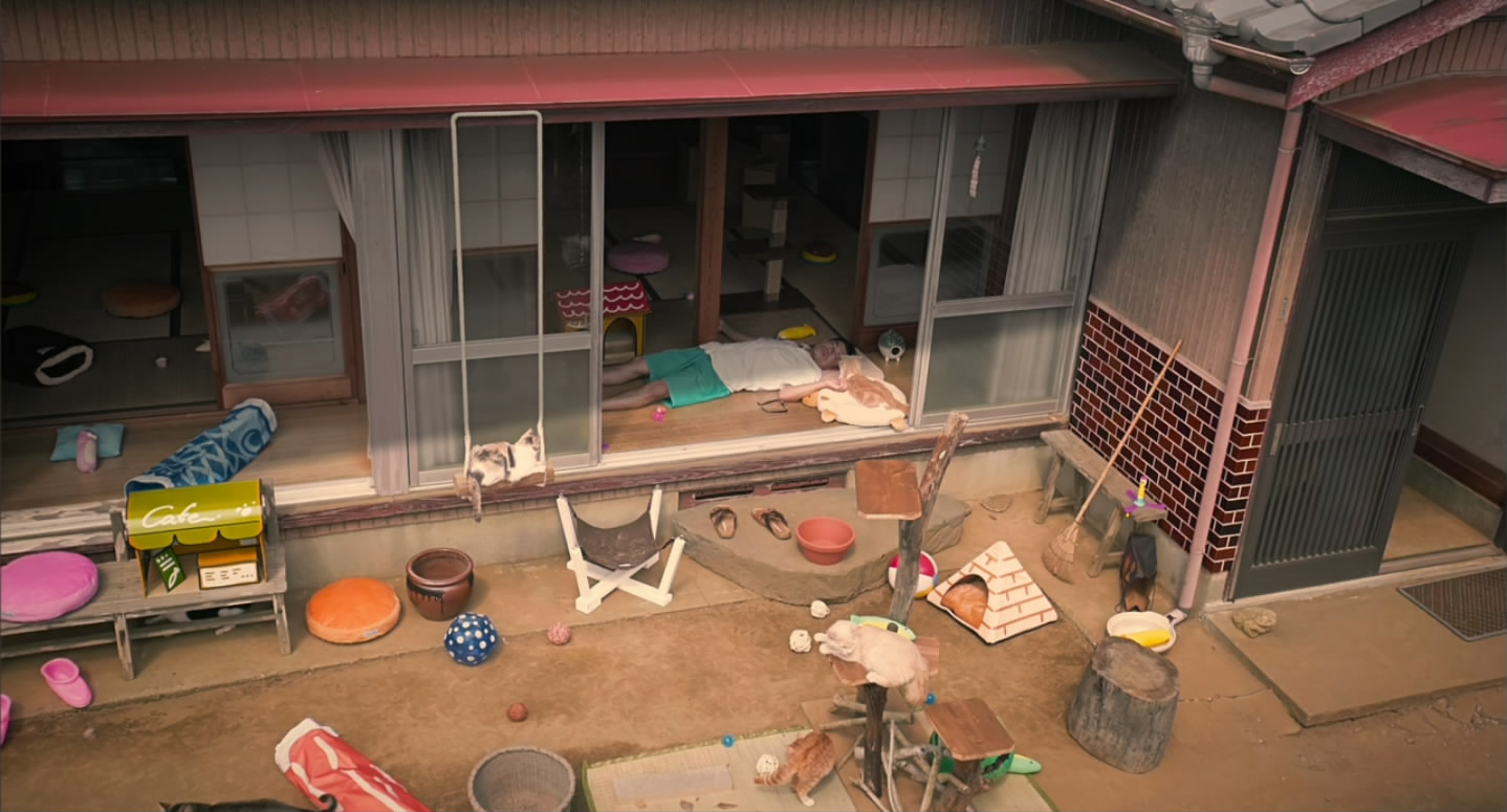 猫咪后院之家剧照的剧照