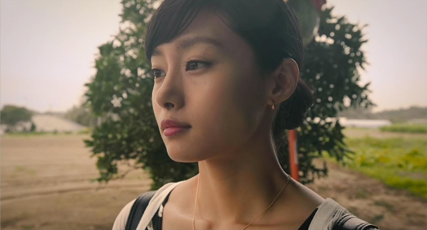 猫咪后院之家剧照的剧照