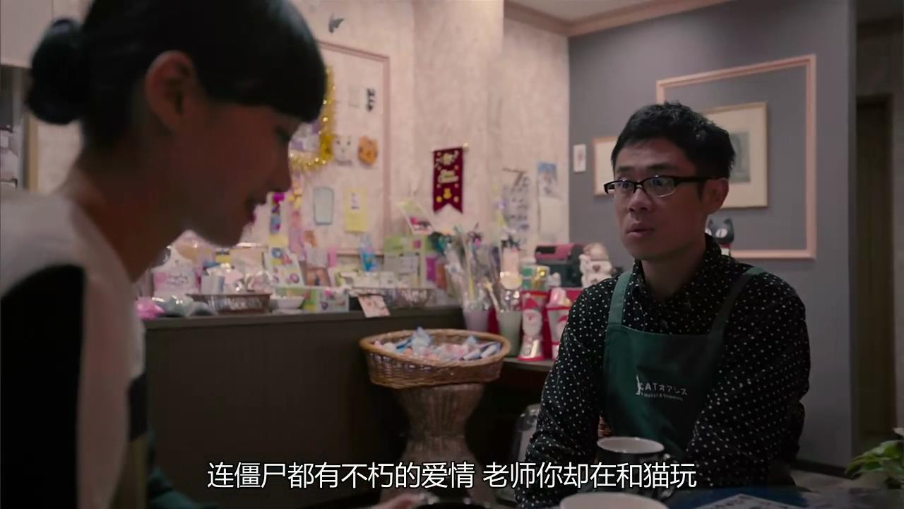 猫咪后院之家剧照的剧照