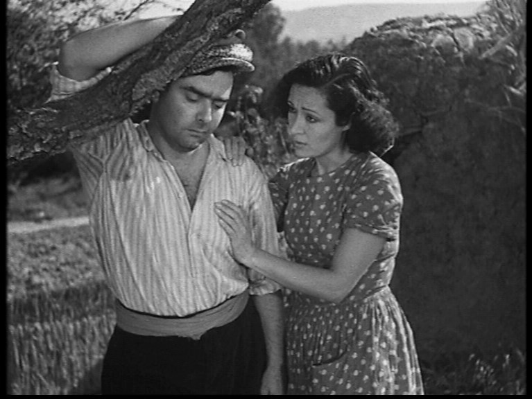 托尼剧照的剧照