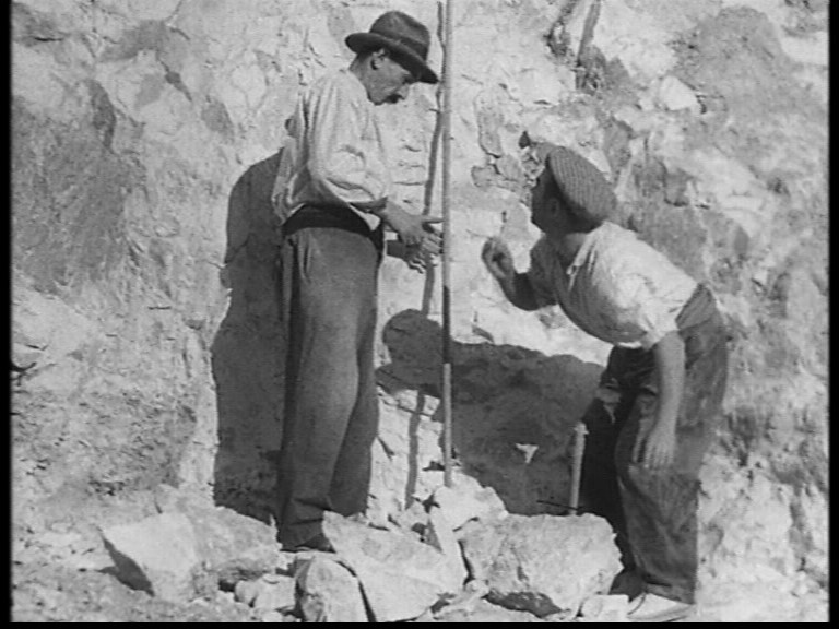 托尼剧照的剧照