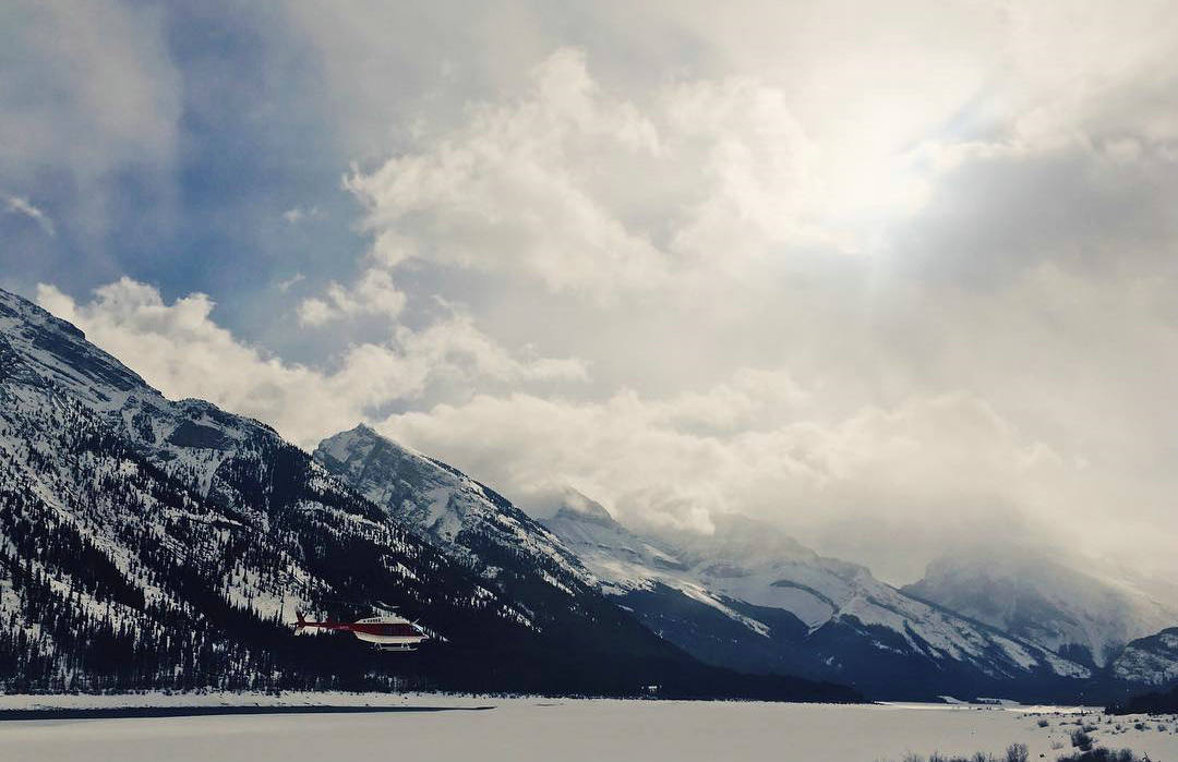 持有黑暗剧照的剧照