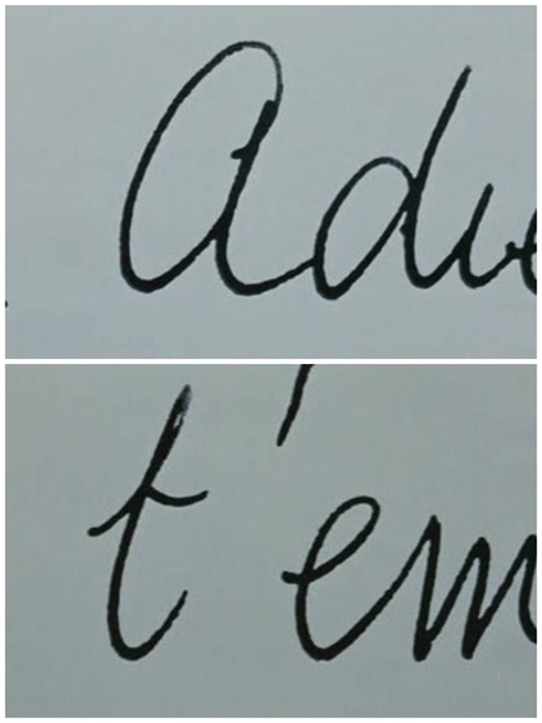 蔑视剧照的剧照