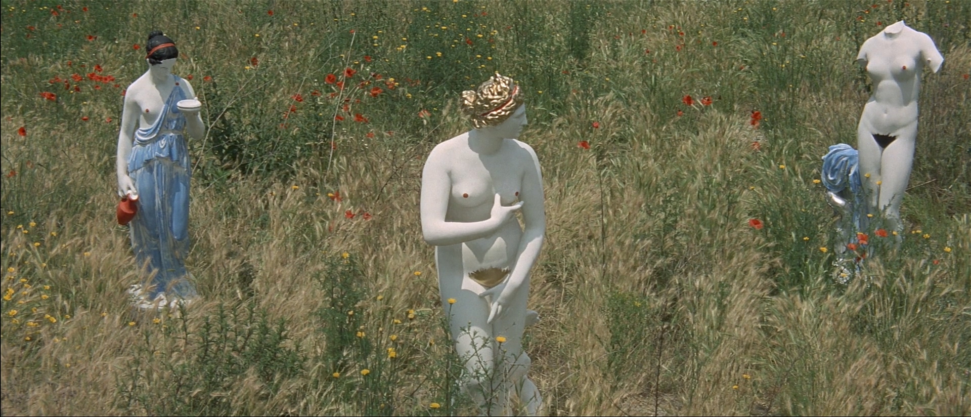 蔑视剧照的剧照