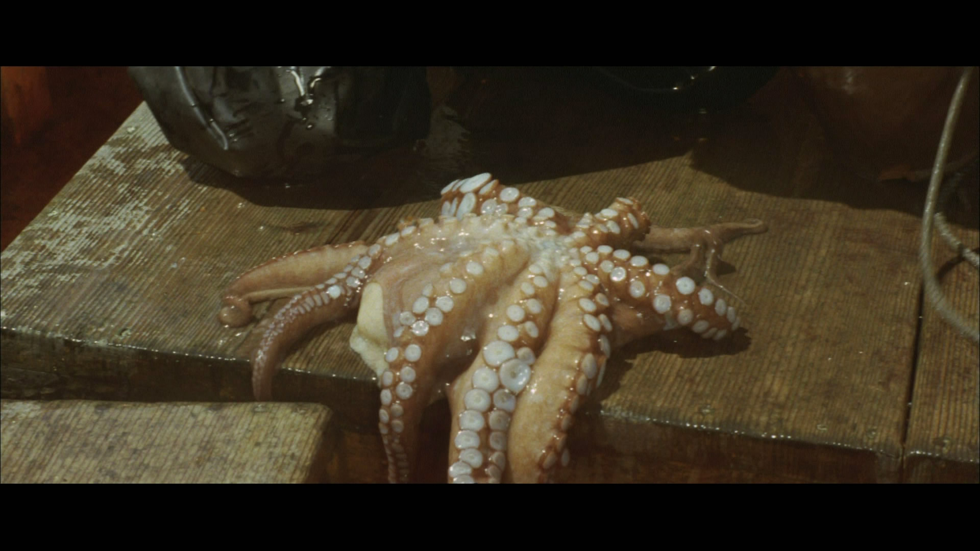 潮骚剧照的剧照