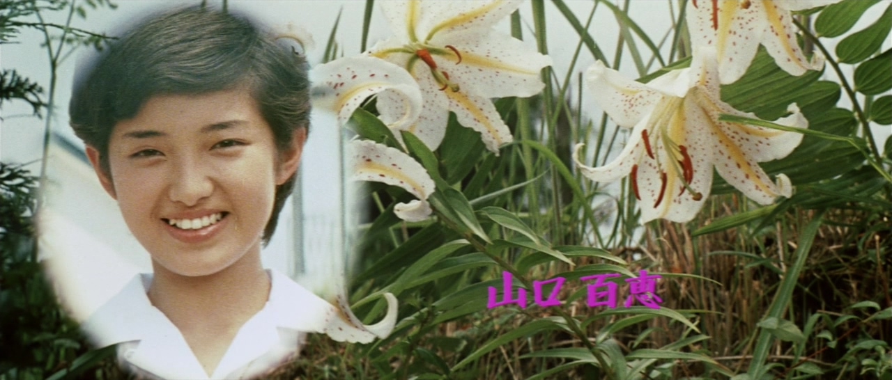 潮骚剧照的剧照