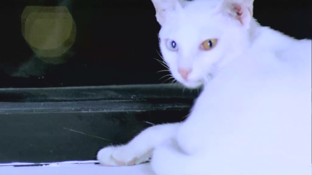 13骇人游戏剧照的剧照