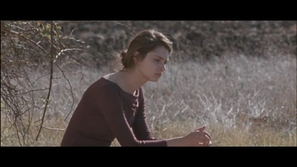 仿佛我不在那儿剧照的剧照