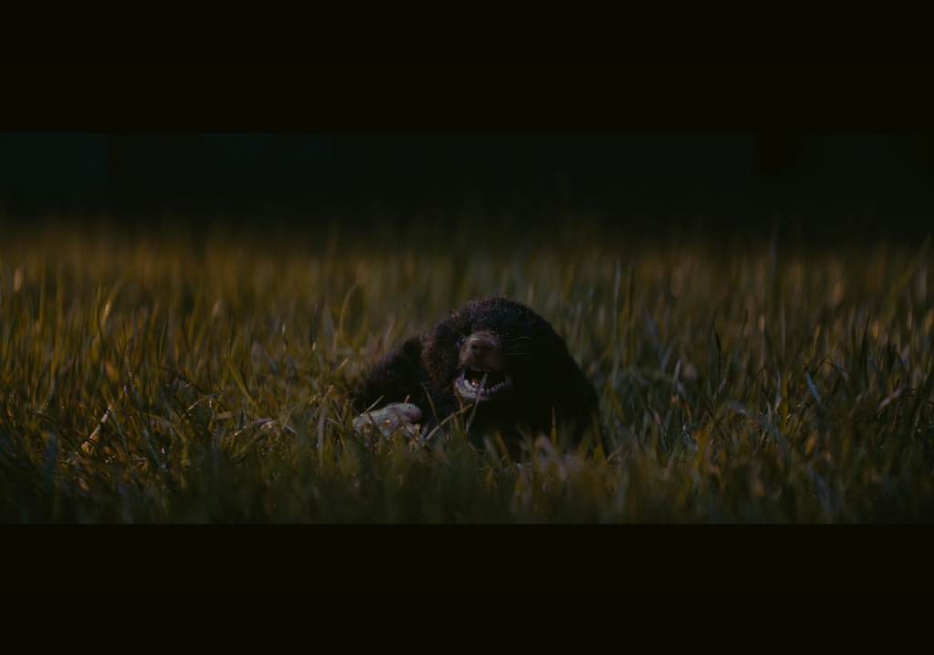 纵情一曲剧照的剧照