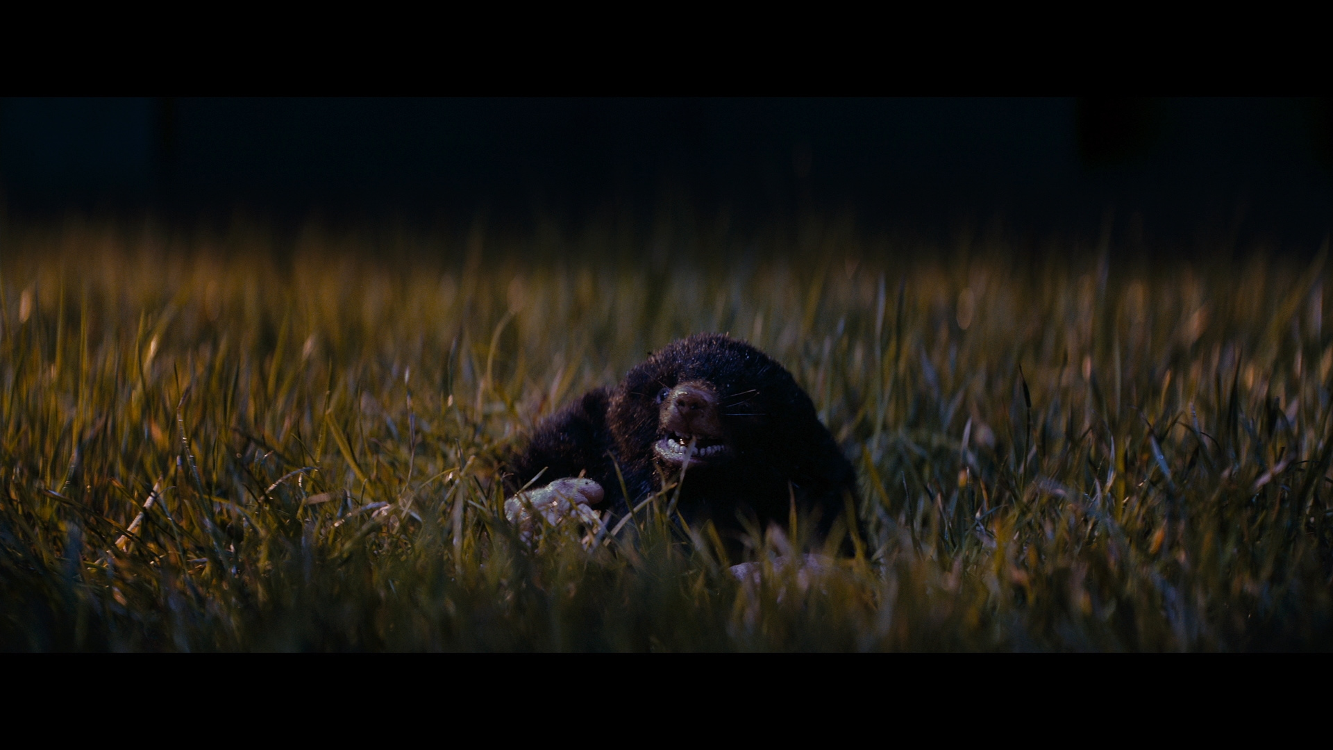 纵情一曲剧照的剧照