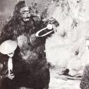 黄飞鸿大战猩猩王剧照