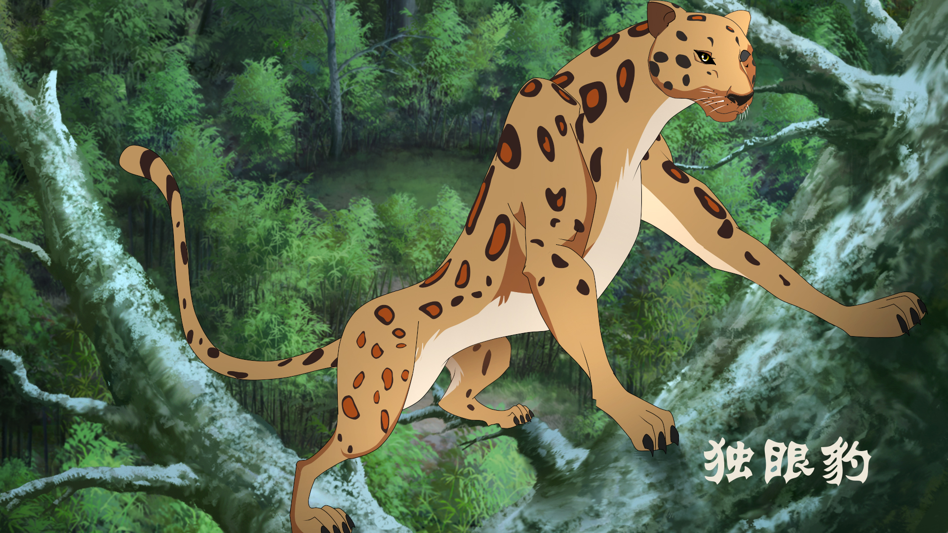 大熊猫传奇剧照的剧照