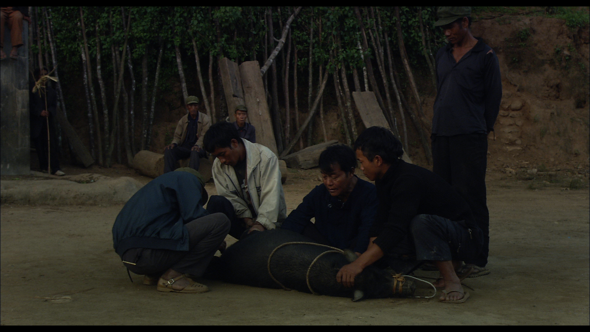 翻山剧照的剧照