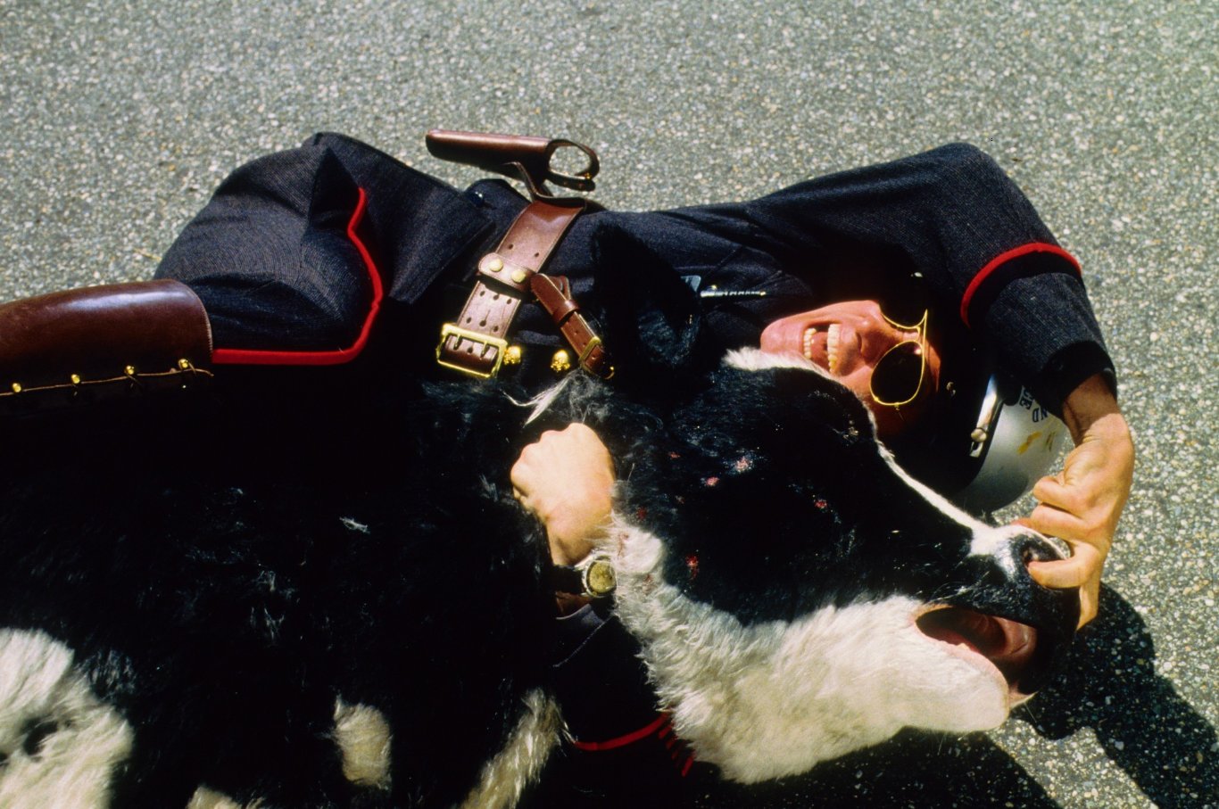 一个头两个大剧照的剧照