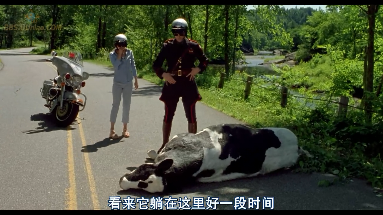 一个头两个大剧照的剧照