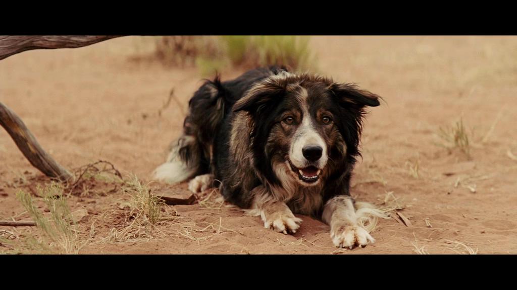 牛仔和外星人剧照的剧照