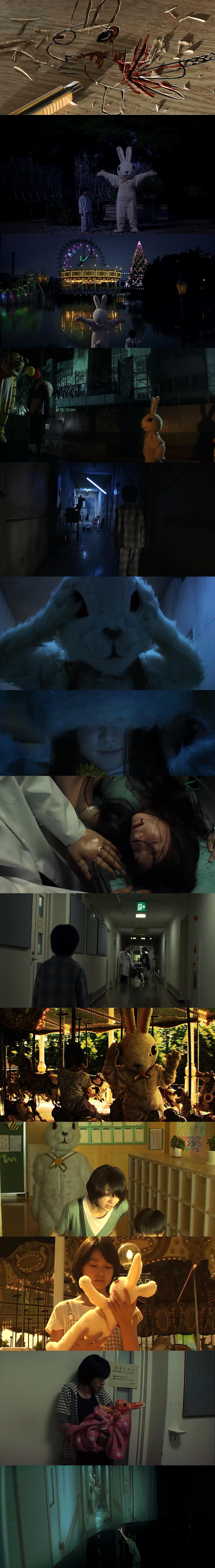 恐怖兔子剧照的剧照