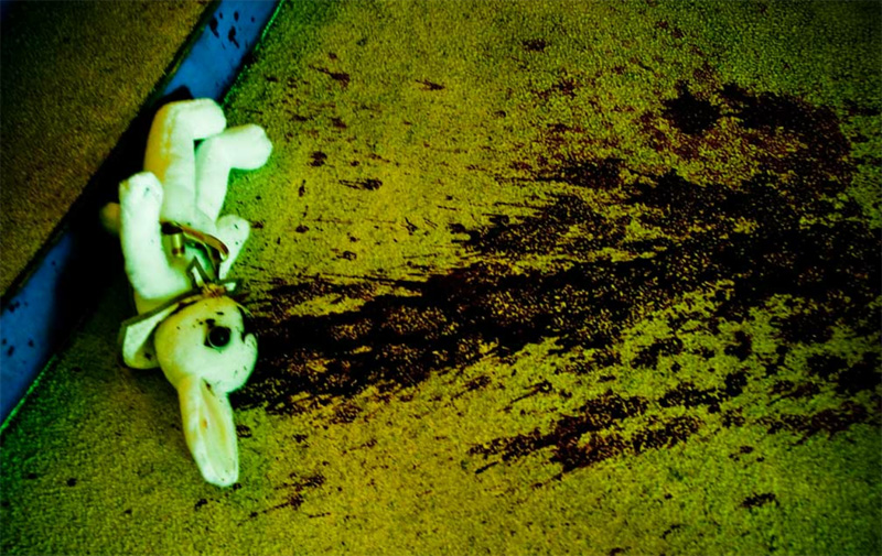 恐怖兔子剧照的剧照