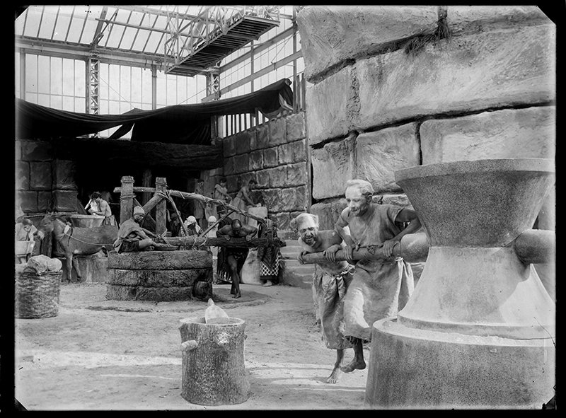 党同伐异剧照的剧照