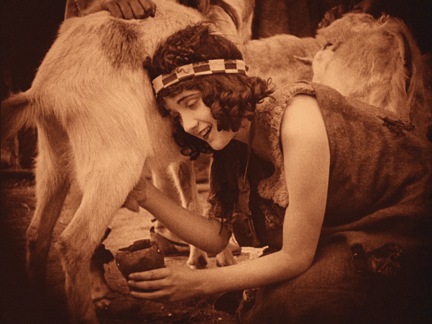 党同伐异剧照的剧照