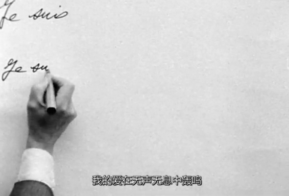 玫瑰艾勒沙剧照的剧照