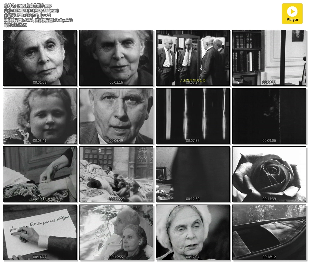 玫瑰艾勒沙剧照的剧照