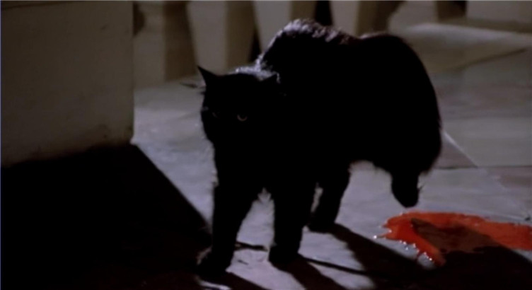 黑猫之眼剧照的剧照