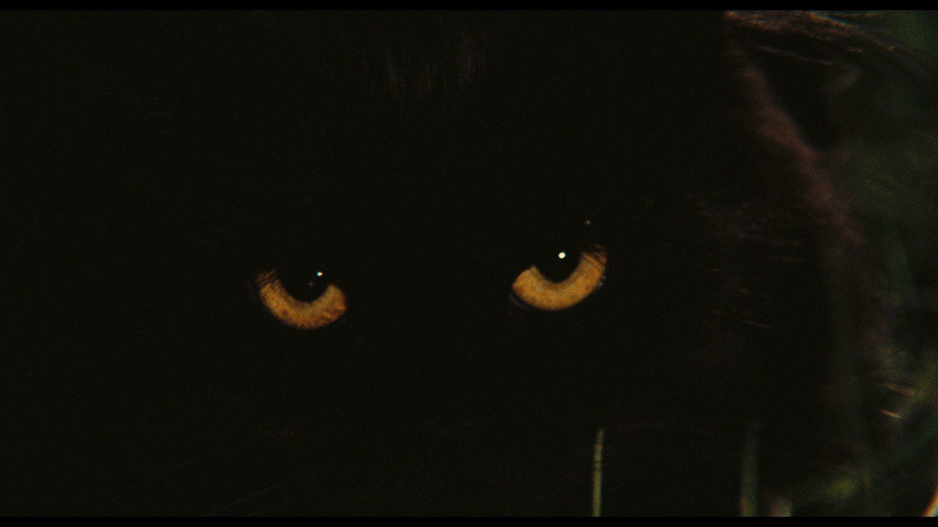 黑猫之眼剧照的剧照