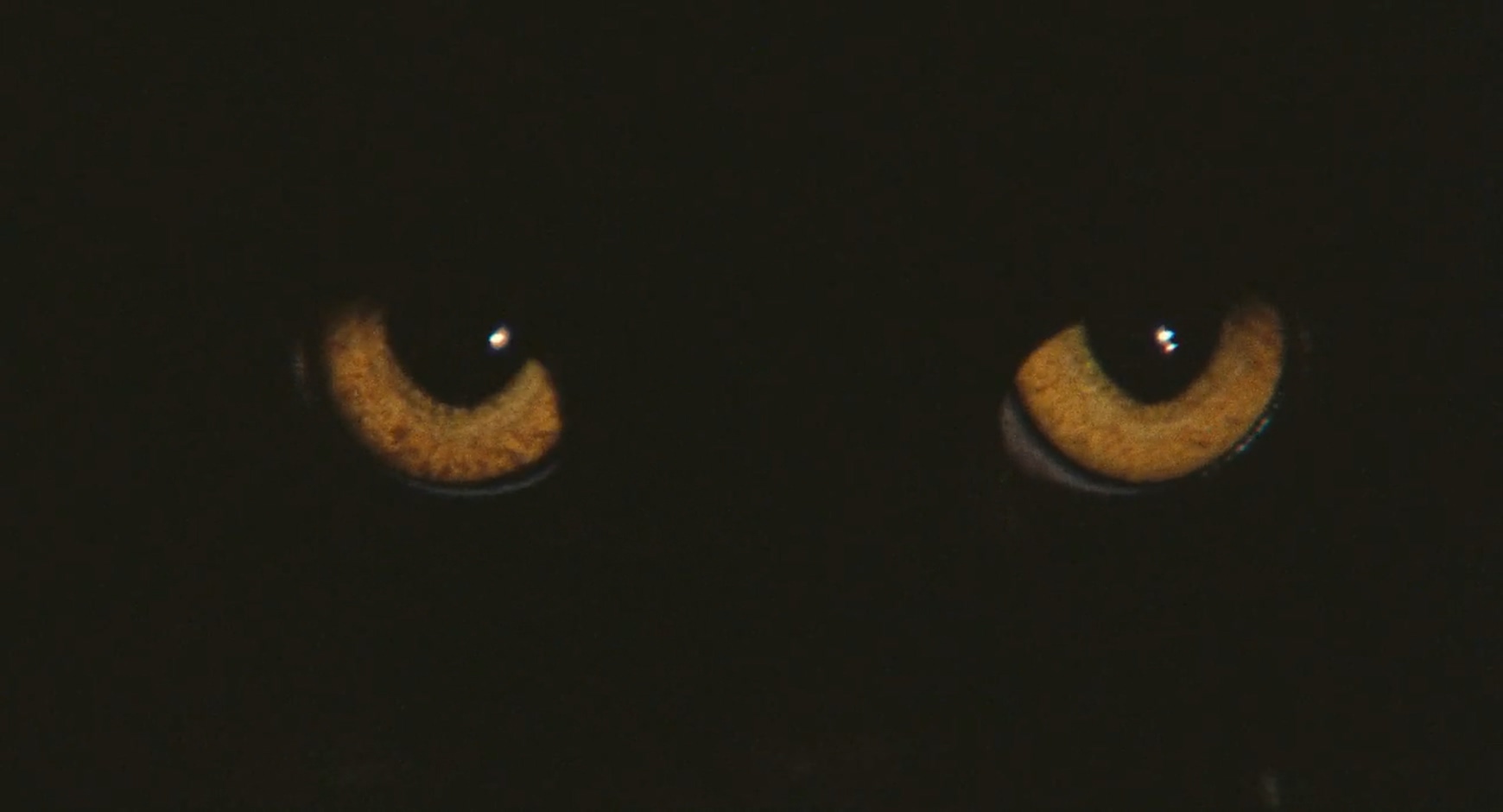 黑猫之眼剧照的剧照