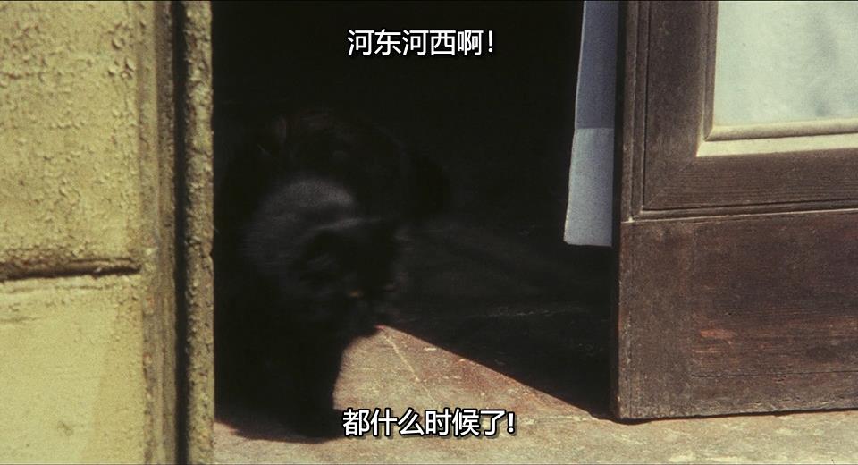 黑猫之眼剧照的剧照