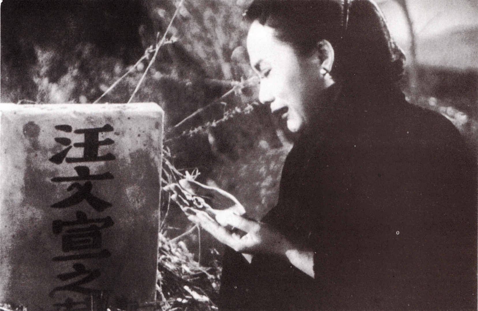 寒夜剧照的剧照