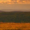 去往蒙巴萨的单程票剧照