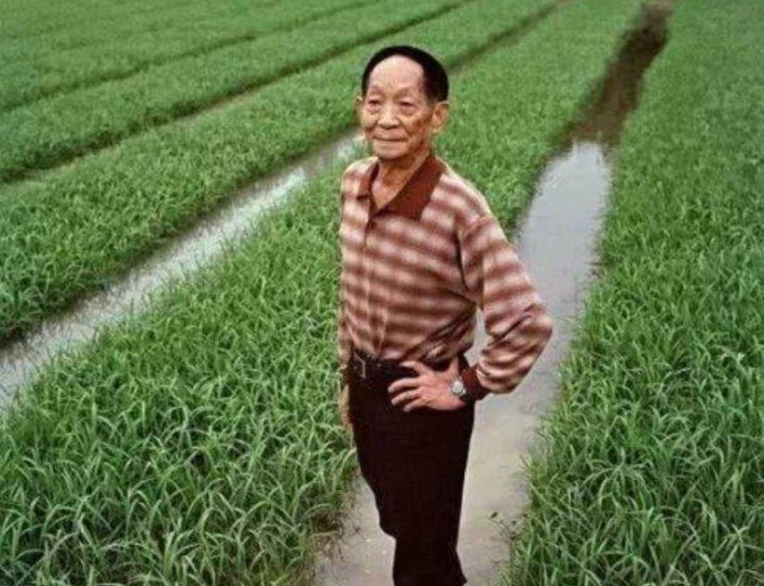 袁隆平剧照的剧照