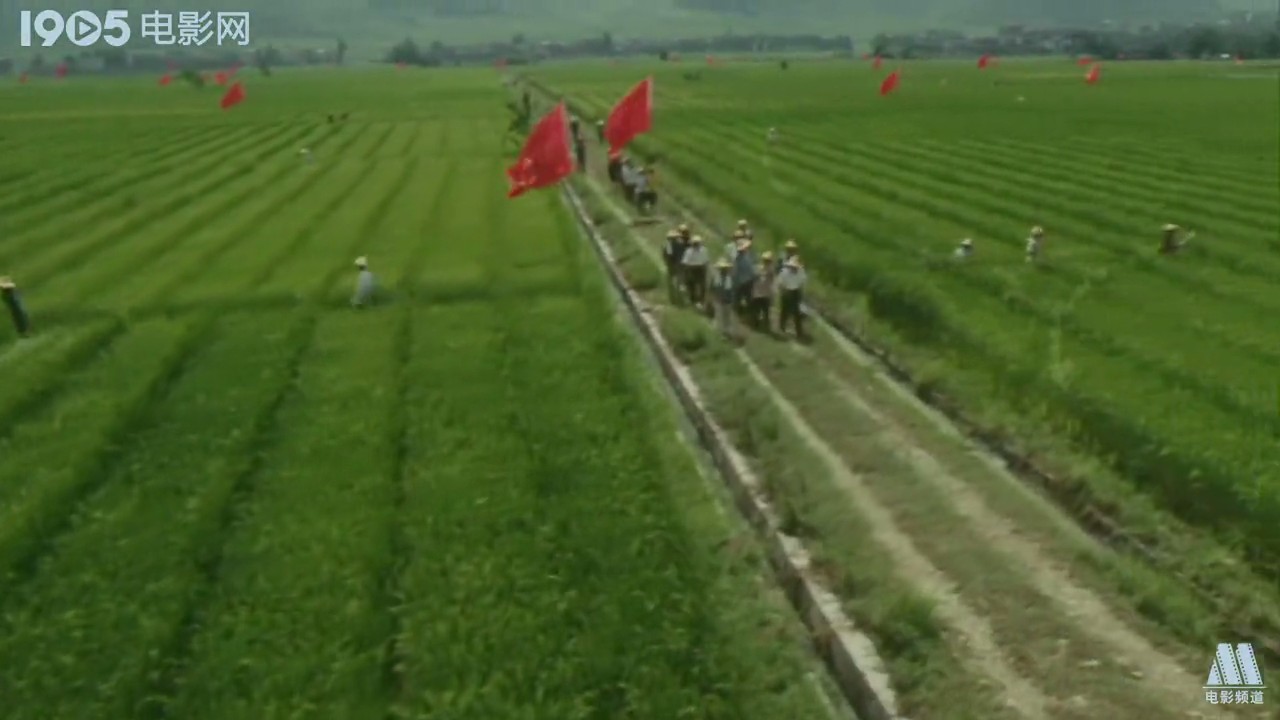 袁隆平剧照的剧照